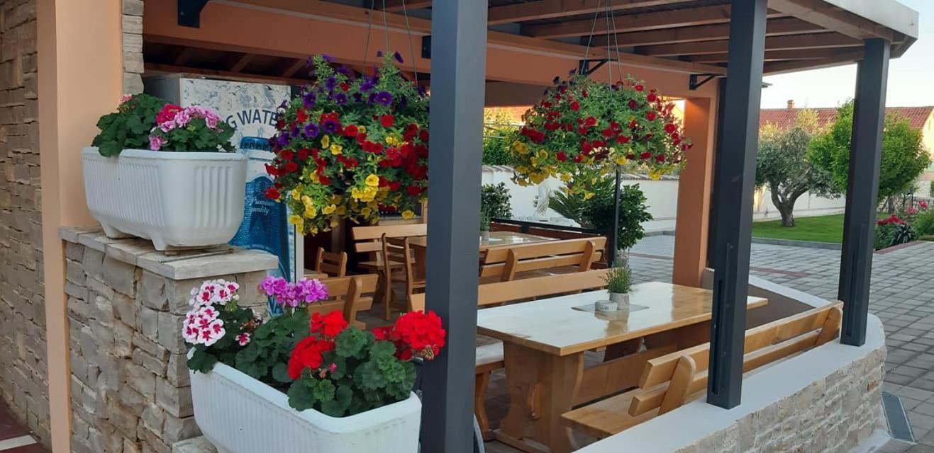 Villa Dalmatina Zadar Mit Pool エクステリア 写真