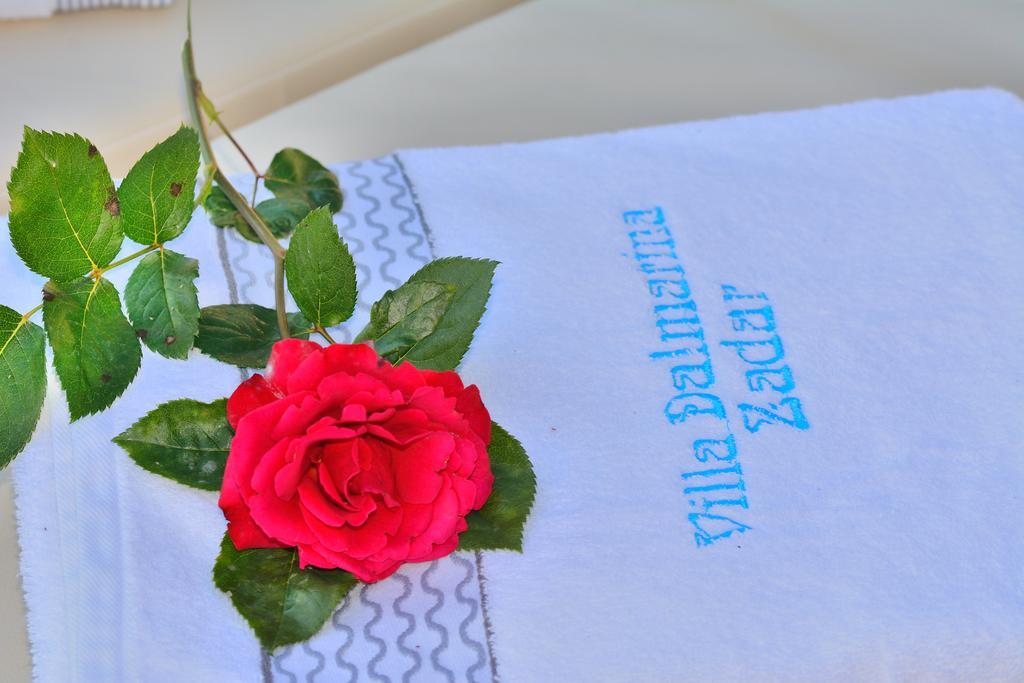 Villa Dalmatina Zadar Mit Pool エクステリア 写真